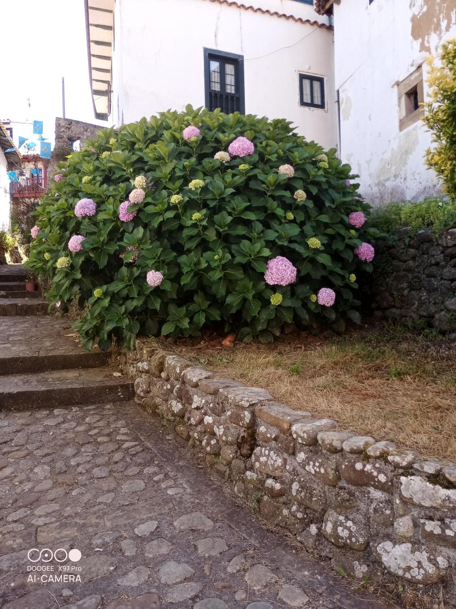 Tazones 79 Vut6993As Apartment Exterior foto